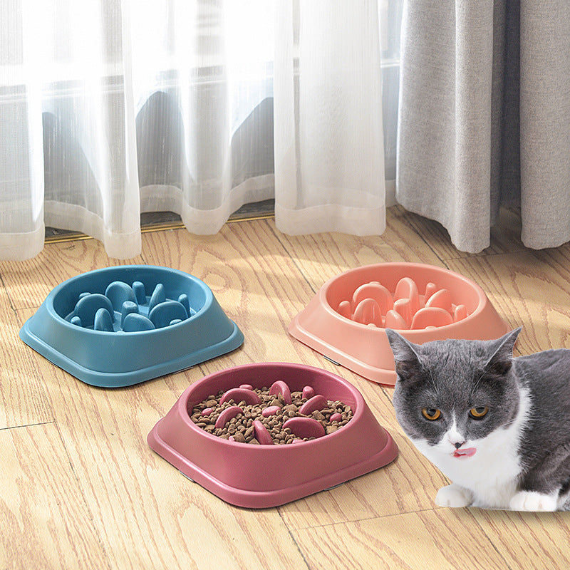 Everyday Slow Feeder Bowl