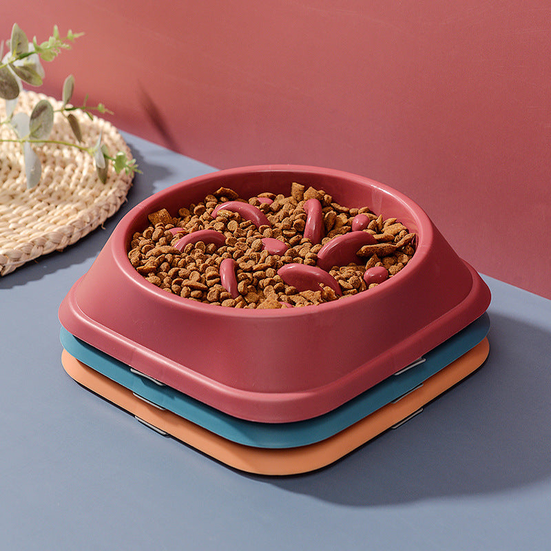 Everyday Slow Feeder Bowl
