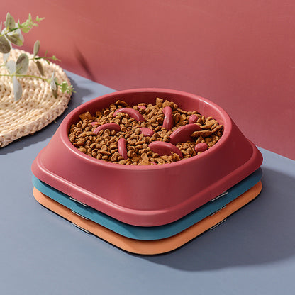 Everyday Slow Feeder Bowl