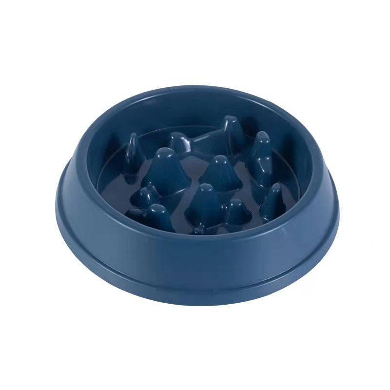 Everyday Slow Feeder Bowl